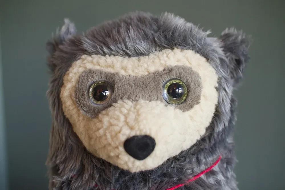 Brillebjørn bamse - 53cm