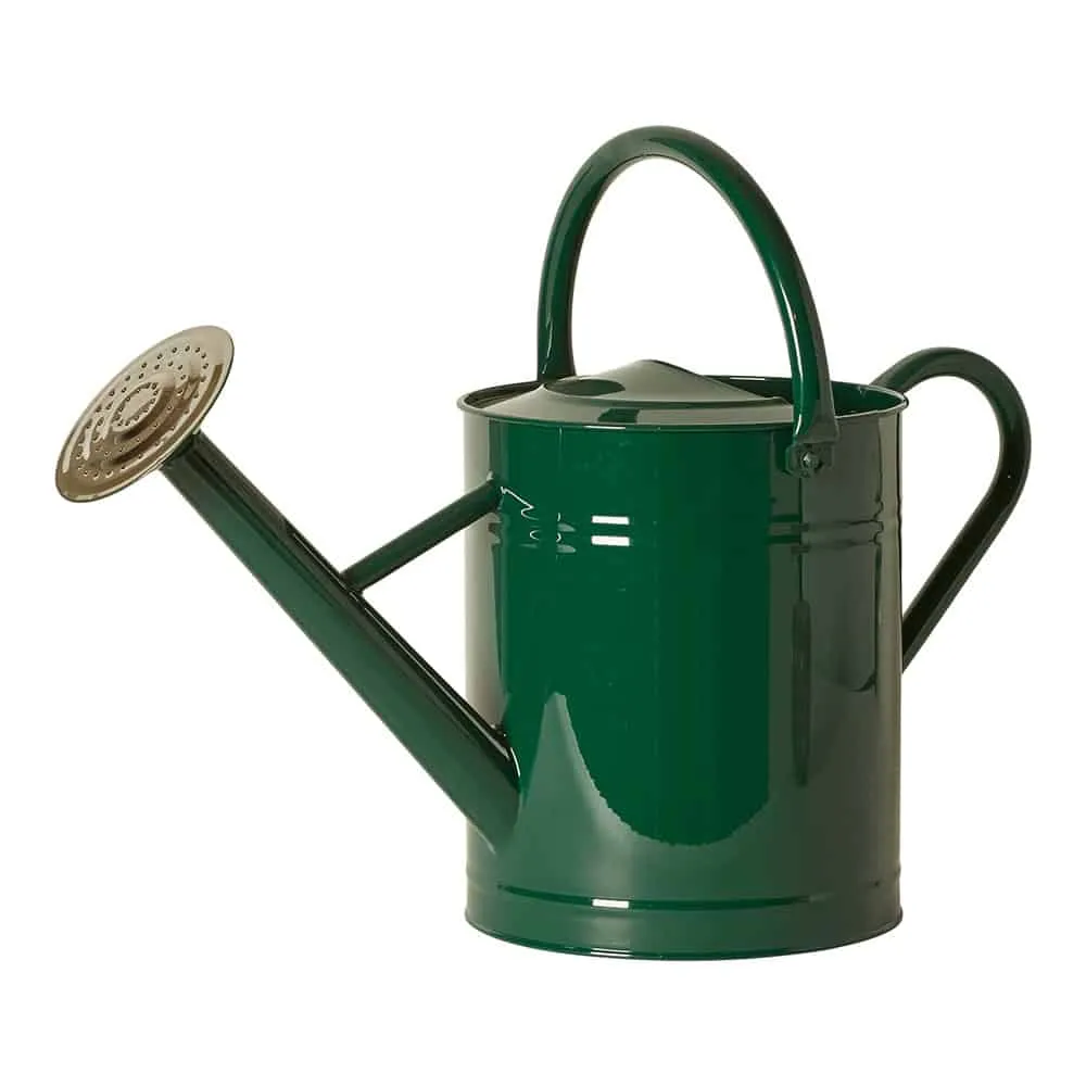 Vannkanne – Grønn 8 liter