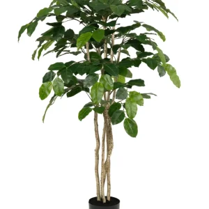 Kunstig Banyan Fikentre 150cm