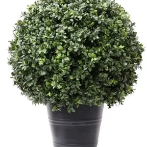Kunstig Buksbom Romerstil i Potte UV 60cm