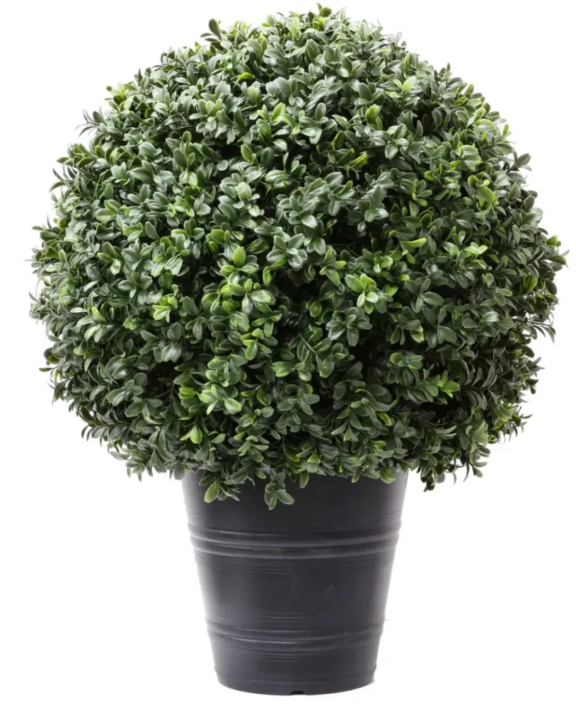 Kunstig Buksbom Romerstil i Potte UV 60cm