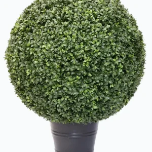 Kunstig Buksbom Romerstil i Potte 80cm