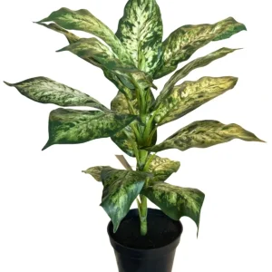 Kunstig Dieffenbachia Plante UV 40cm