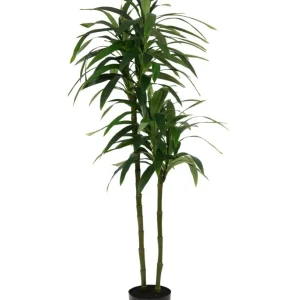 Kunstig Dracaena Tre 180cm