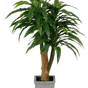 Kunstig Dracaena Tre i Sement Potte 110cm