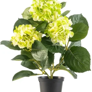 Kunstig Hortensia Deluxe Krem/Grønn UV 35 cm
