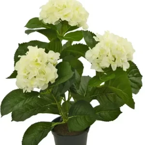 Kunstig Hortensia Deluxe Kremhvit UV 35 cm
