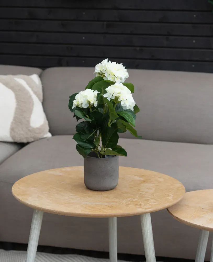 Kunstig Hortensia Deluxe Kremhvit UV 35 cm