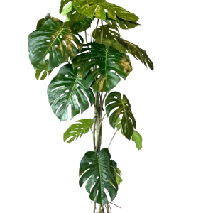 Kunstig Monstera Split 180 cm