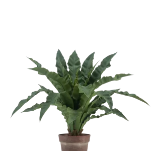 Kunstig Nestbregne i Potte 61 cm