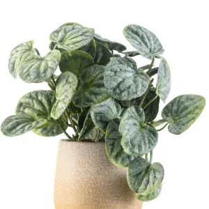 Kunstig Peperomia Busk 18 cm