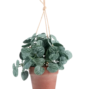 Kunstig Peperomia Busk i Hengende Potte 29 cm