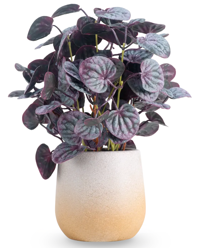 Kunstig Peperomia Caperata Lilla i Potte 31 cm