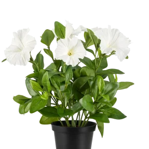 Kunstig Petunia Hvit UV i Potte 25 cm