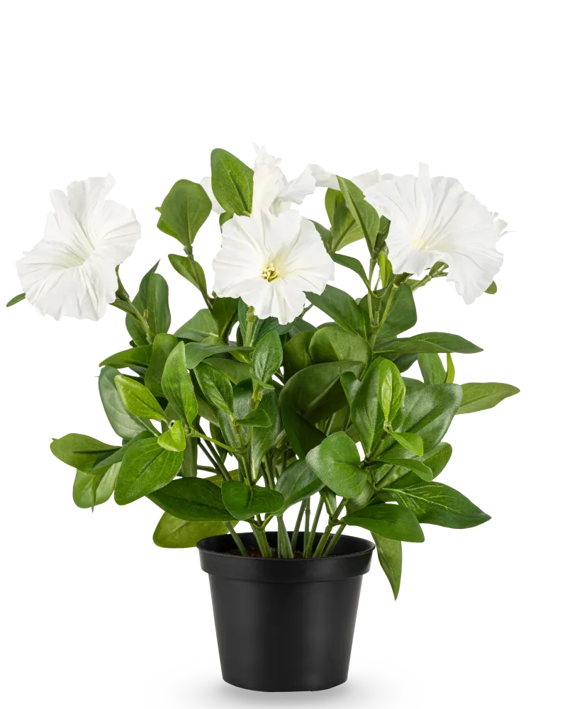 Kunstig Petunia Hvit UV i Potte 25 cm