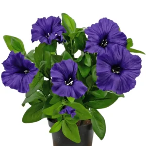 Kunstig Petunia Lilla UV i Potte 25 cm