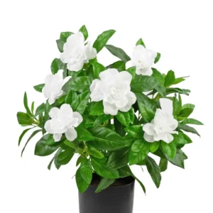 Kunstig plante Gardenia Hvit UV 39 cm