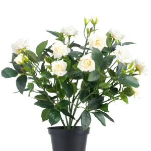 Kunstig Rosebusk Krem UV i Potte 35 cm