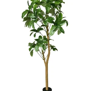 Kunstig Schefflera Gigant 200cm