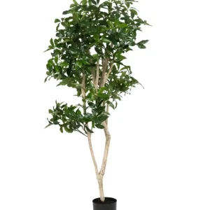 Kunstig Shikibi Laurbær Tre 120cm