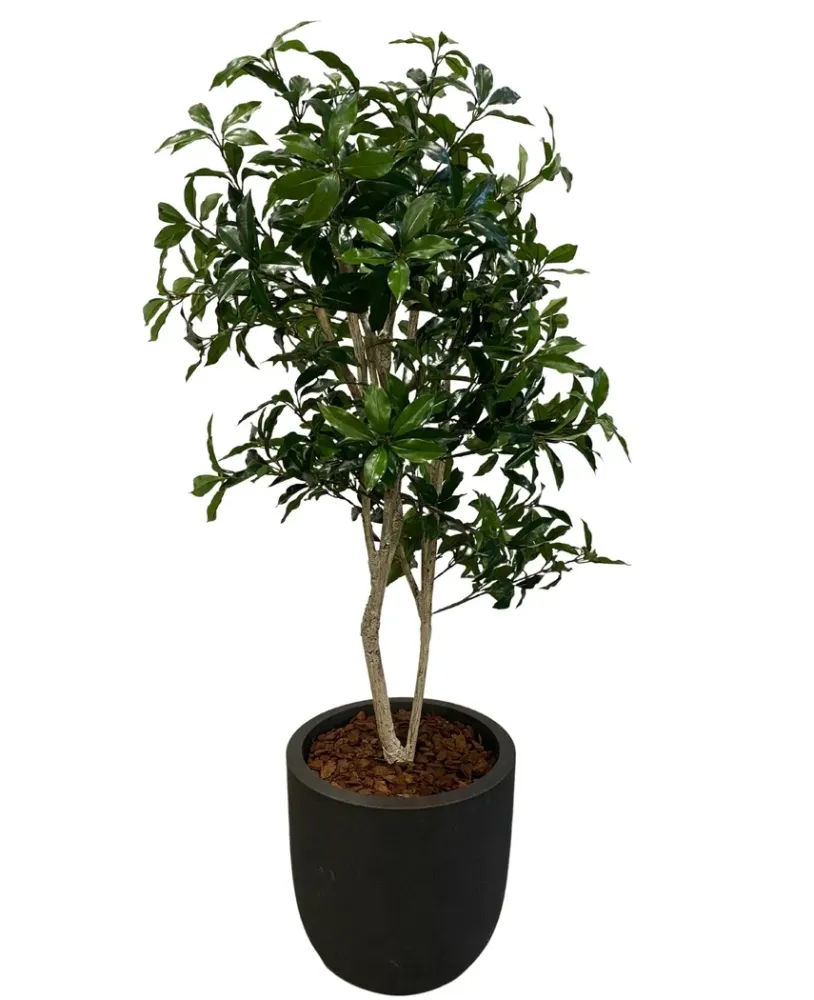 Kunstig Shikibi Laurbær Tre 120cm