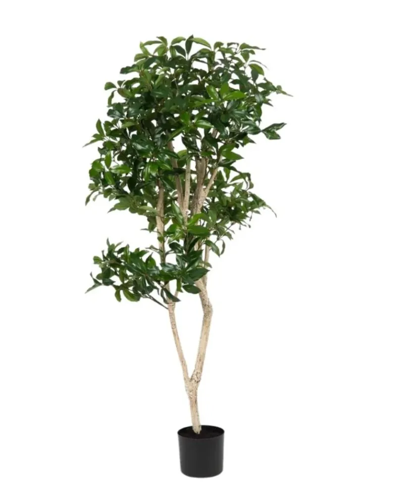 Kunstig Shikibi Laurbær Tre 120cm