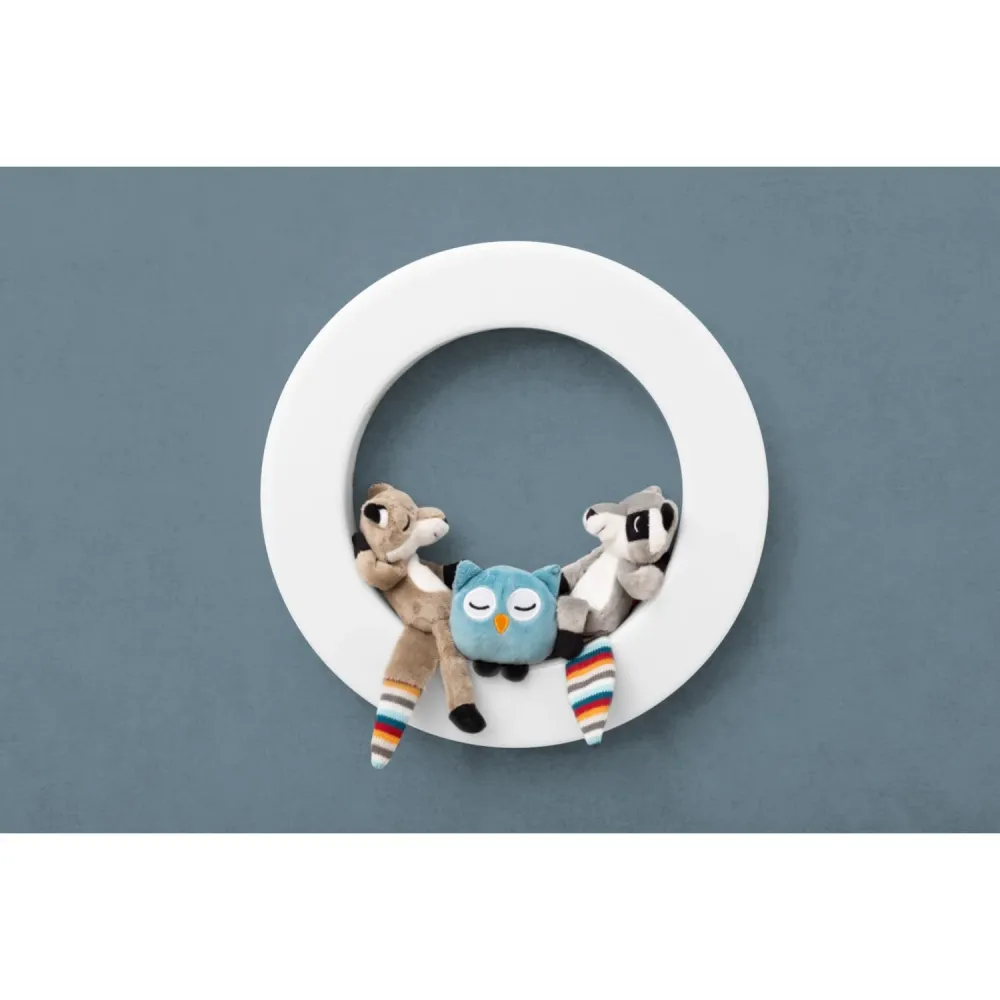 Zazu White Wall Light