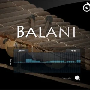 Balani