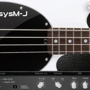 Bassysm-J