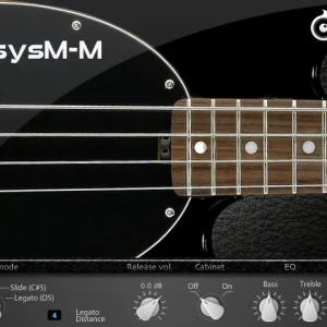 Bassysm-M